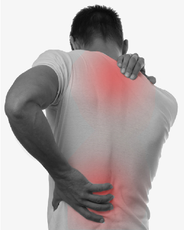 Neck & Back Pain